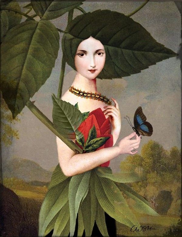 12-Beaux tableaux de Catrin Welz-Stein 