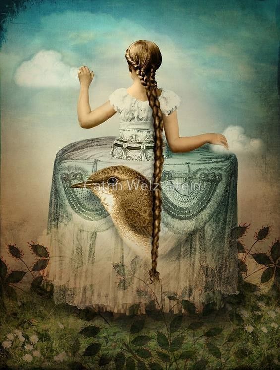 12-Beaux tableaux de Catrin Welz-Stein 