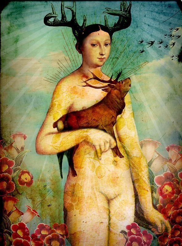 12-Beaux tableaux de Catrin Welz-Stein