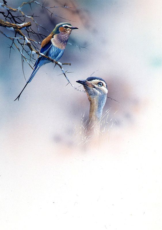 16-Oiseaux peints divers artistes