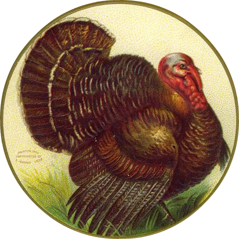 15- Cartes vintage A ( fêtes diverses) :Thanksgiving