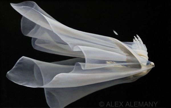 12-Beaux tableaux d' Alex Alemany 