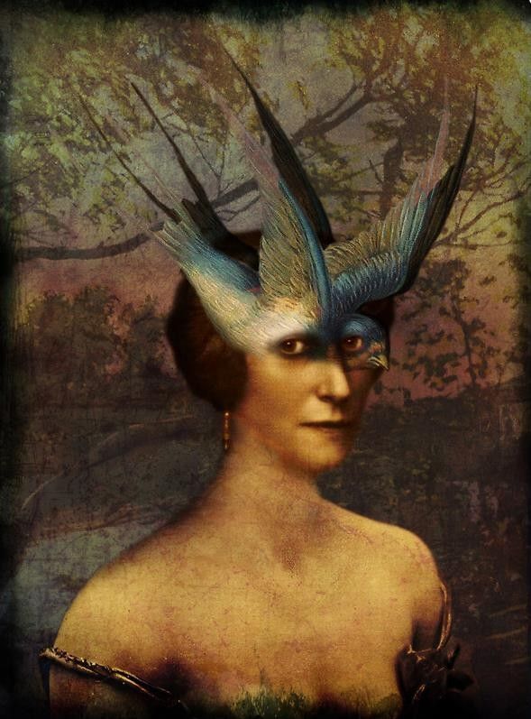 12-Beaux tableaux de Catrin Welz-Stein