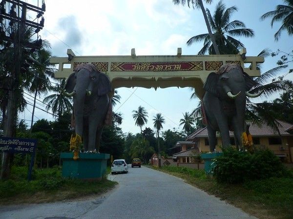 Voyage à Koh Samui  ( ile Thailandaise )