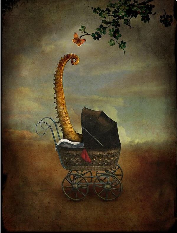 12-Beaux tableaux de Catrin Welz-Stein