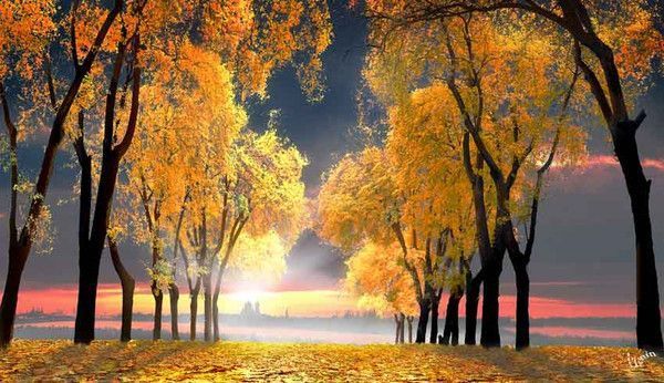 Photographe : Igor Zenin