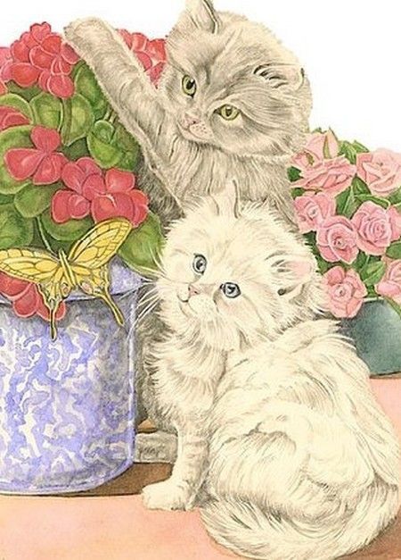 Chats ou chiens en illustrations serie B