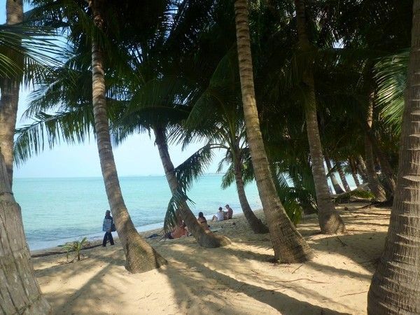 Voyage à Koh Samui  ( ile Thailandaise )