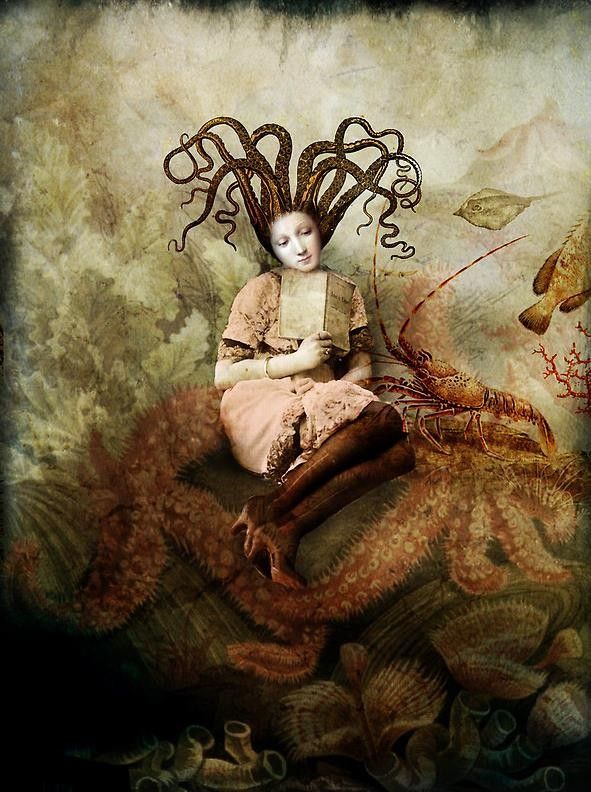 12-Beaux tableaux de Catrin Welz-Stein