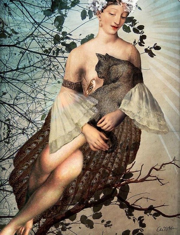 12-Beaux tableaux de Catrin Welz-Stein