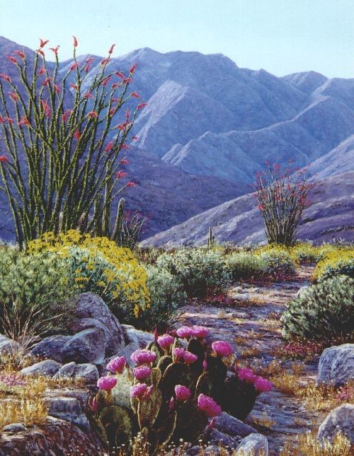 Paysages de Linda Lee  et Kerry Kinman 