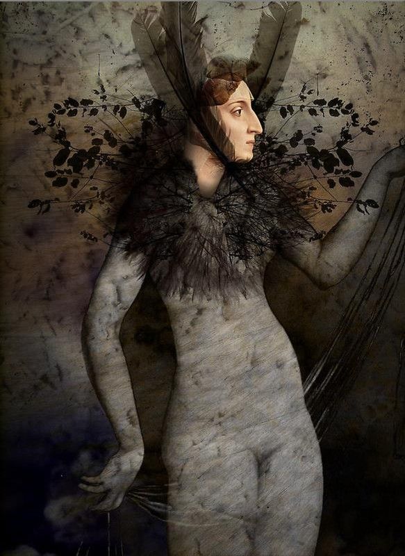 12-Beaux tableaux de Catrin Welz-Stein