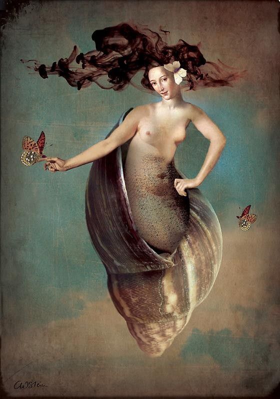 12-Beaux tableaux de Catrin Welz-Stein