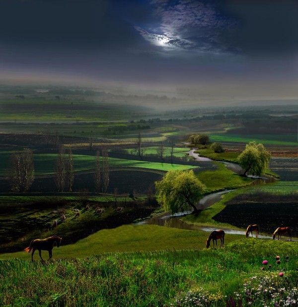 Photographe : Igor Zenin