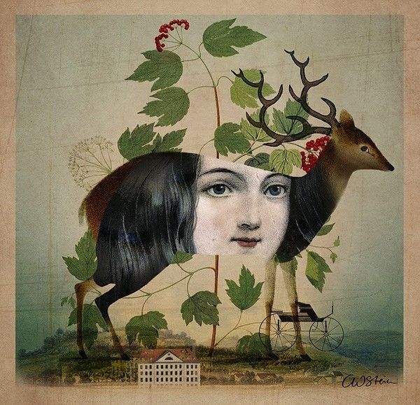 12-Beaux tableaux de Catrin Welz-Stein 