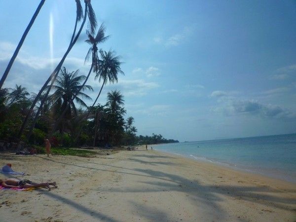 Voyage à Koh Samui  ( ile Thailandaise )