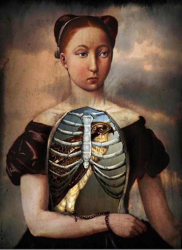 12-Beaux tableaux de Catrin Welz-Stein