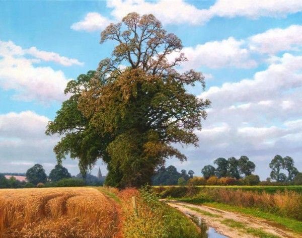 Paysages en peintures C  de David Smith 